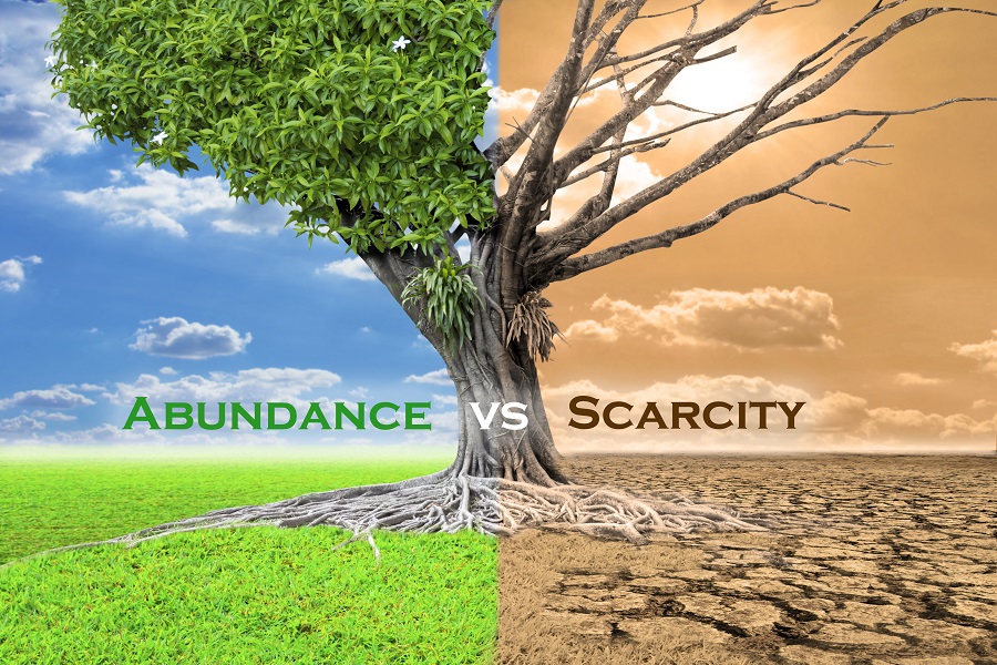 Your business’ future lies in an abundant strategy – not in scarcity