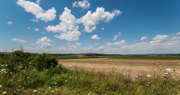 Changing Landscape and Designation Within Rural Healthcare