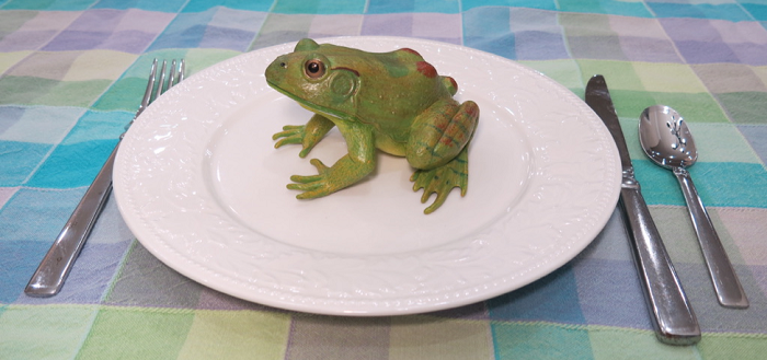 Eating Live Frogs and Other Strategies to Organize Your Work
