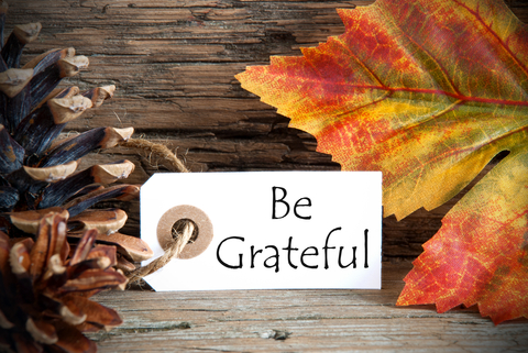 The Power of Gratitude