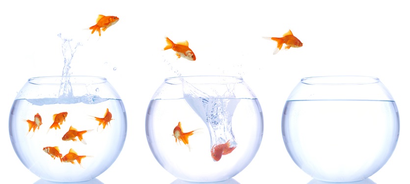 Strategies for Active Career Advancement