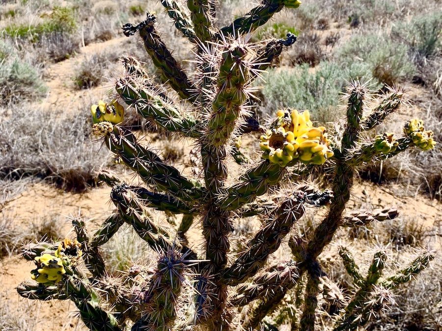 As Spring arrives, collaboration in healthcare blooms