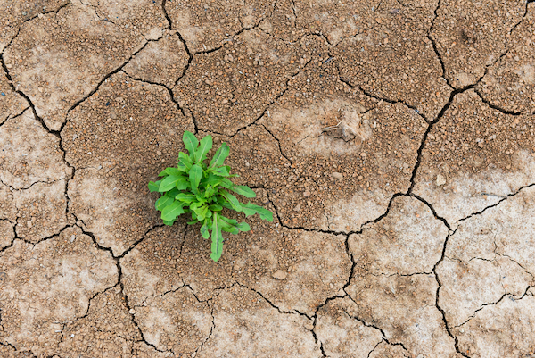 Three Ways to Increase Organizational Resiliency